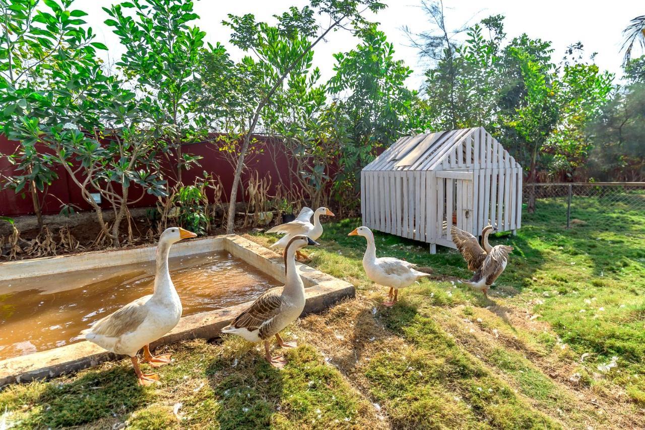 Saffronstays Palm Paradise, Kalyan Khadavli - Swimming Pool With Water Slides, Gazebo And Indoor Games Padghe Экстерьер фото